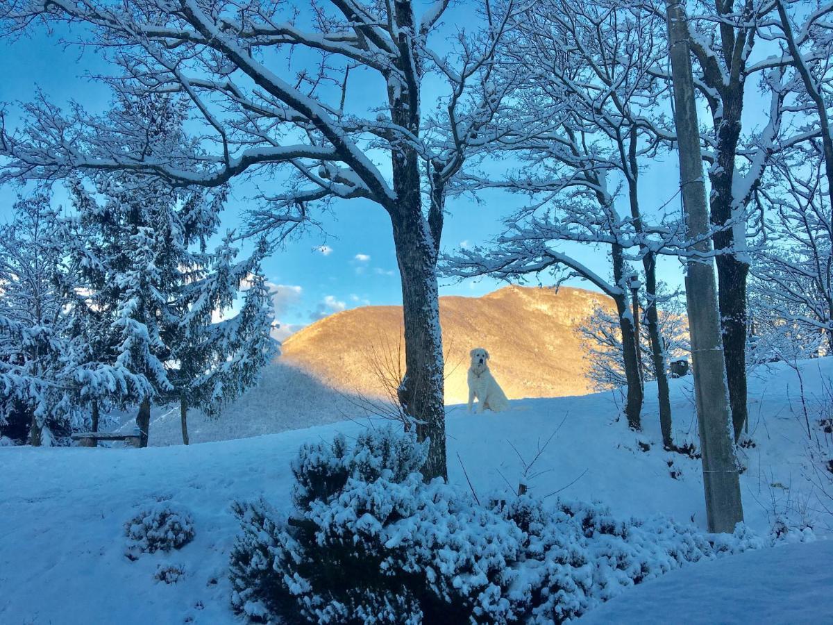 La Locanda Nel Vento Calestano Bagian luar foto