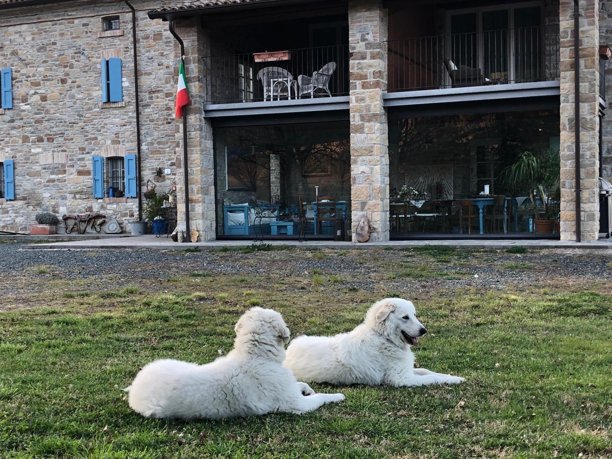 La Locanda Nel Vento Calestano Bagian luar foto